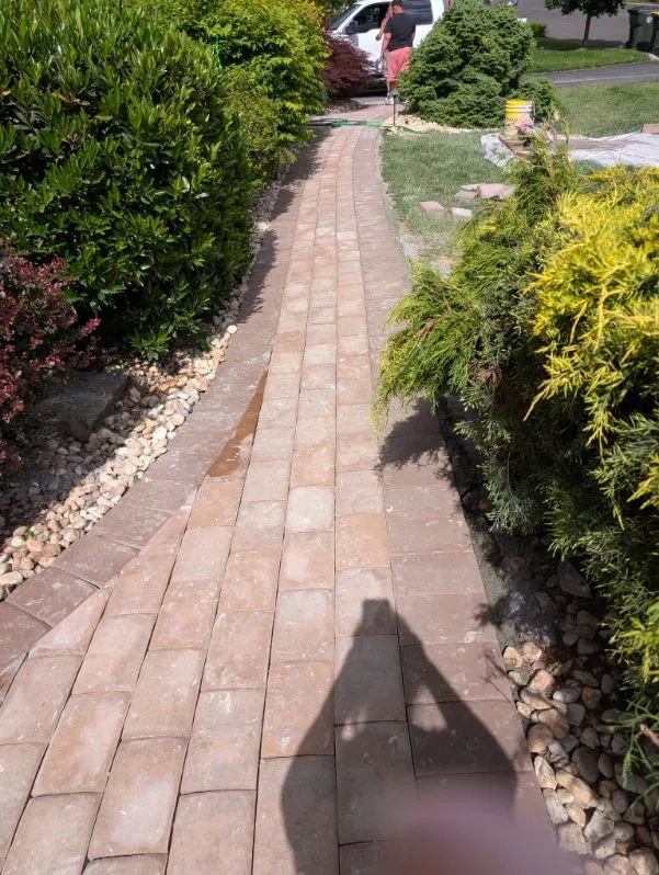 Paving Design
